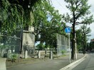 大芝公園(公園)まで750m メゾフォルテ大宮