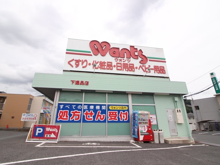 ウォンツ 下温品店(ドラッグストア)まで1200m 平町マンション
