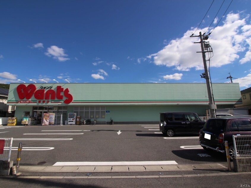 ウォンツ船越店(ドラッグストア)まで100m ノース　フイス