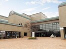 図書館(図書館)まで540m サンゴマンション