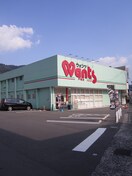 ウォンツ戸坂店(ドラッグストア)まで1500m リヴィエール戸坂Ⅱ