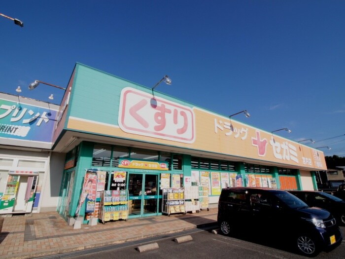 ドラッグセガミ宮内店(ドラッグストア)まで220m グランカ－サ宮内