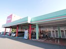 ウォンツ宮内店(ドラッグストア)まで350m グランカ－サ宮内