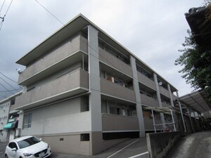 サングリーン６