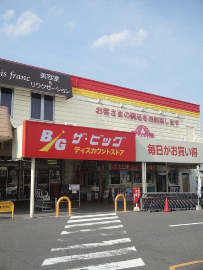 ザ・ビッグ　五日市店(ディスカウントショップ)まで380m セジュールゆう