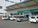 ザグザグ 光南店(ドラッグストア)まで400m アサンテ光南Ｂ棟