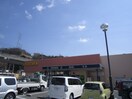TSUTAYA安東店(ビデオ/DVD)まで1580m パピヨンフィオーレ