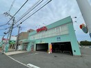 ウォンツ藤垂園店(ドラッグストア)まで250m 奥田ビル