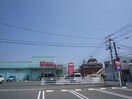 ウォンツ 緑井店(ドラッグストア)まで560m 日浦メノー