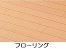 イメージ写真 大和路線・関西本線/法隆寺駅 徒歩13分 1階 1年未満