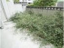  近鉄難波線・奈良線/学園前駅 徒歩7分 1階 築15年