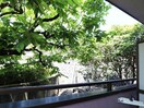  近鉄難波線・奈良線/東生駒駅 徒歩7分 1階 築31年