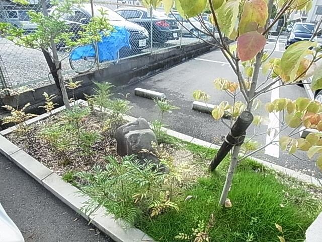  近鉄難波線・奈良線/近鉄奈良駅 バス10分南方町下車:停歩5分 1階 築49年