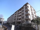 近鉄京都線/新大宮駅 徒歩11分 5階 築46年の外観