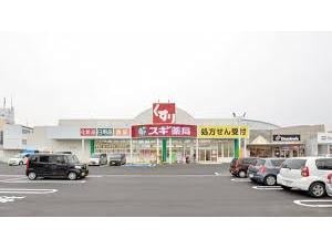 スギドラッグミ・ナーラ店(ドラッグストア)まで573m 近鉄橿原線/尼ケ辻駅 徒歩19分 1階 築3年