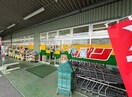 ジャパン奈良尼ヶ辻店(ディスカウントショップ)まで1150m 近鉄橿原線/尼ケ辻駅 徒歩19分 1階 築3年