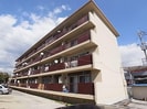 近鉄大阪線（近畿）/近鉄下田駅 徒歩5分 4階 築48年の外観