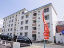 近鉄大阪線（近畿）/近鉄下田駅 徒歩7分 5階 築47年の外観