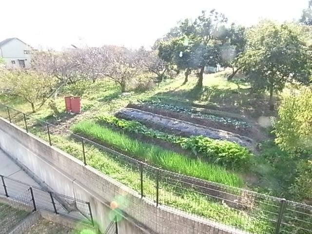  近鉄大阪線（近畿）/二上駅 徒歩13分 1-2階 築20年