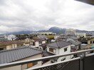  近鉄大阪線（近畿）/近鉄下田駅 徒歩6分 4階 築36年
