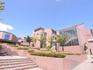 私立畿央大学(大学/短大/専門学校)まで1916m 近鉄大阪線（近畿）/五位堂駅 徒歩14分 3階 築9年