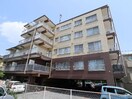  近鉄橿原線/尼ケ辻駅 徒歩2分 1階 築35年