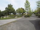 池谷公園(公園)まで361m 近鉄京都線/高の原駅 徒歩20分 2階 築23年