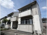 カリン