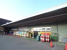 ジャパン奈良尼ヶ辻店(ディスカウントショップ)まで868m 近鉄橿原線/尼ケ辻駅 徒歩5分 2階 築18年