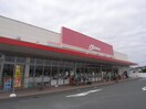 オークワ尼ヶ辻店(スーパー)まで463m 近鉄橿原線/尼ケ辻駅 徒歩18分 2階 築8年