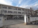 奈良市立都跡小学校(小学校)まで974m 近鉄橿原線/尼ケ辻駅 徒歩18分 3階 築7年