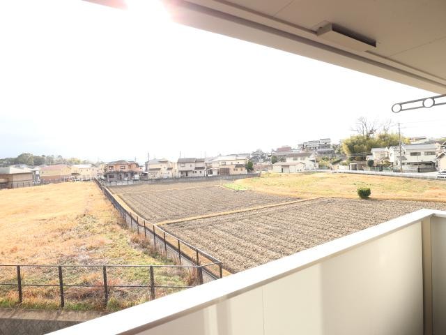  近鉄橿原線/西ノ京駅 徒歩13分 2階 築6年