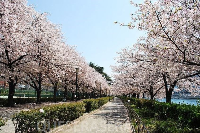 南天満公園(公園)まで212m※南天満公園 オレンジハイツ