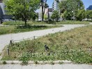 扇町公園(公園)まで477m※扇町公園 ARISTO扇町（旧コンフォリア扇町）