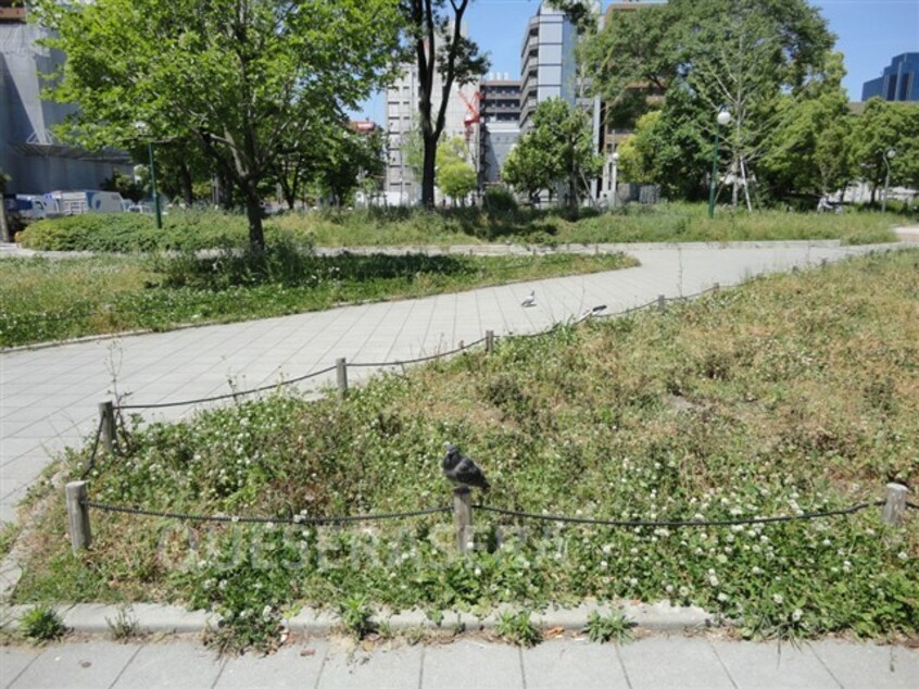 扇町公園(公園)まで345m※扇町公園 アミティエ扇町公園