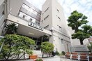大阪市立南大江小学校(小学校)まで426m※大阪市立南大江小学校 レジディア谷町
