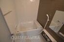  EL-Sia UMEKITA