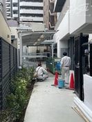 コンフォリア・リヴ本町WEST　Qの外観