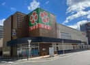 ライフ東天満店(スーパー)まで233m※ライフ東天満店 ダブルナインレジデンス天満宮