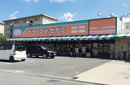 ドラッグセガミ井高野店