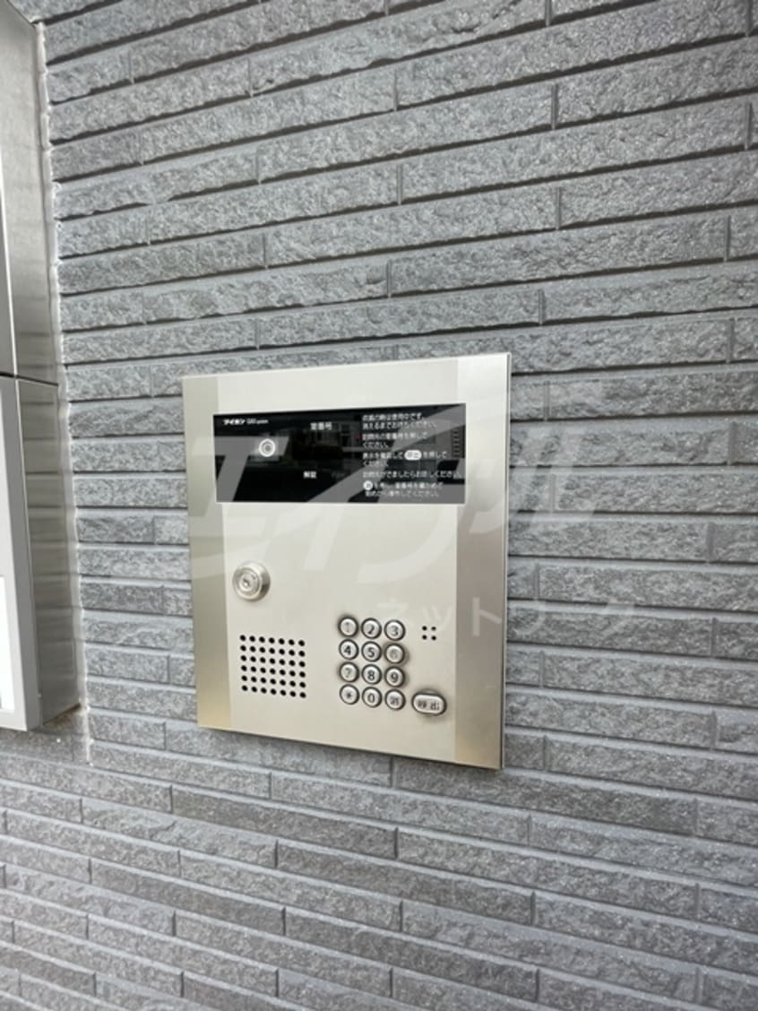  レインボーローズ