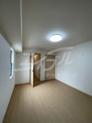  レインボーローズ