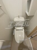  レインボーローズ