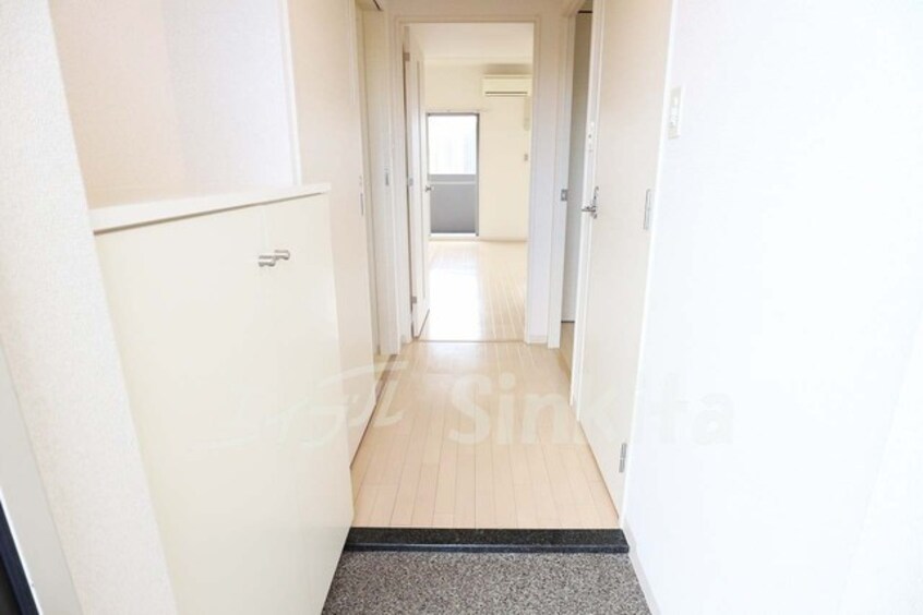 その他 ウィスタリア三国