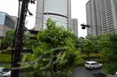 ザ・パークハビオ天満橋