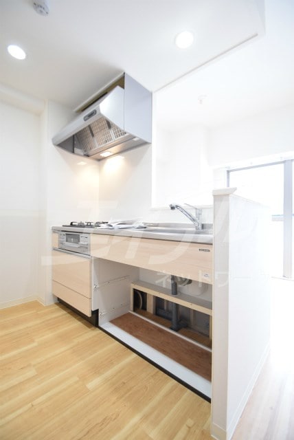  ハナミズキ福島