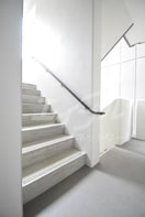  ハナミズキ福島