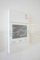  ハナミズキ福島