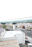  ハナミズキ福島