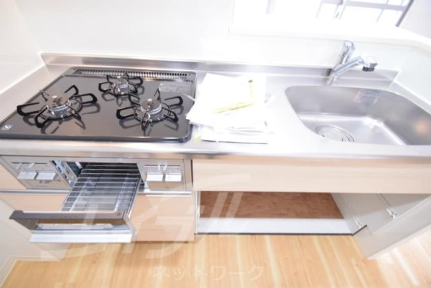  ハナミズキ福島